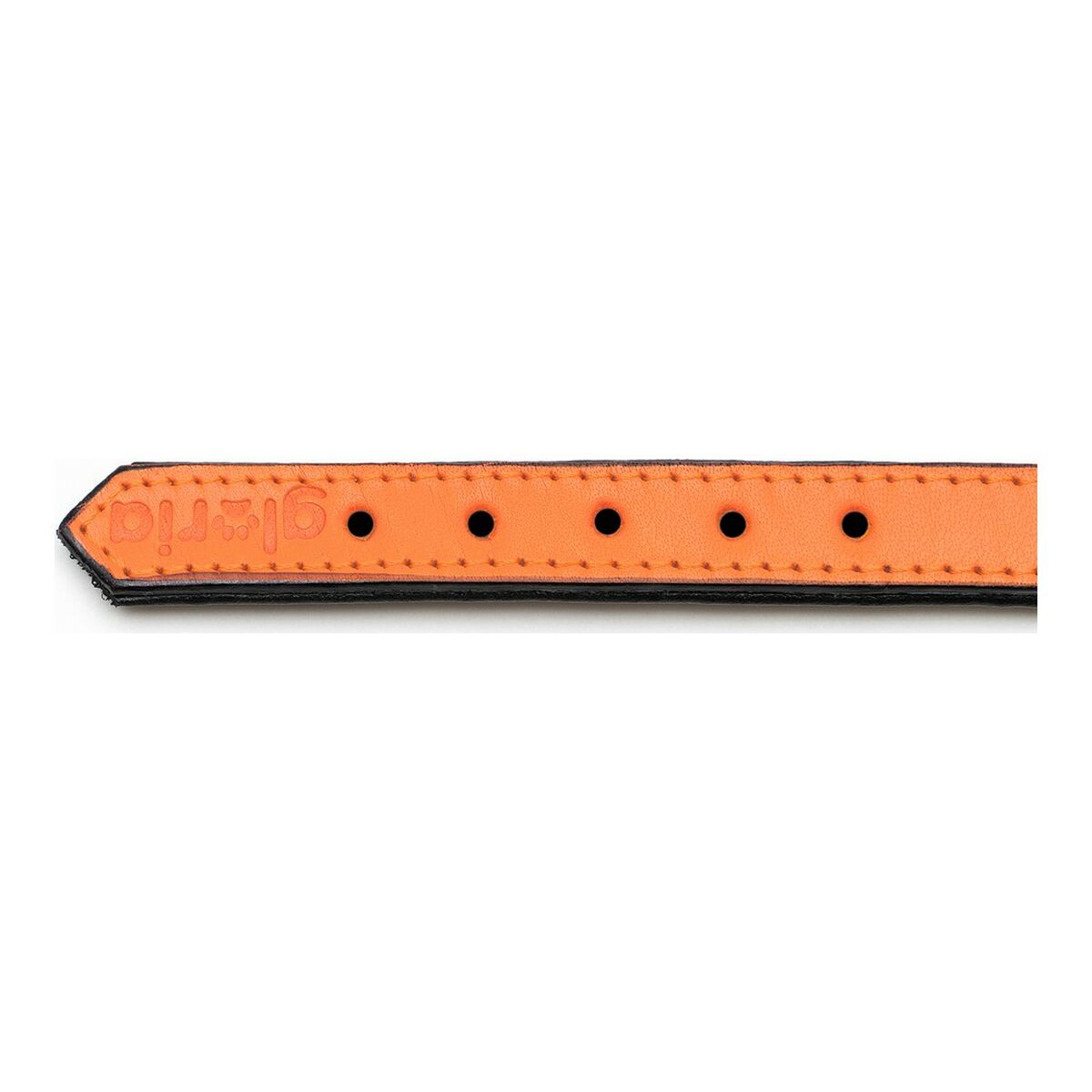 Coleira para Cães Gloria Acolchoado Laranja (55 x 2,5 cm)